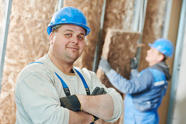 Best Basement Insulation  in Panorama Village, TX